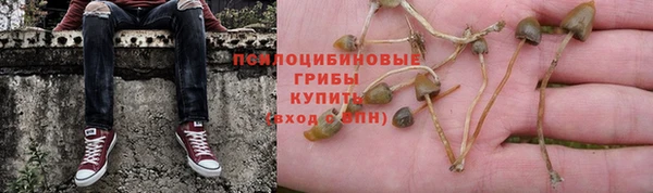 mdpv Алзамай