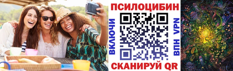 гидра как войти  Никольское  Псилоцибиновые грибы прущие грибы  как найти закладки 